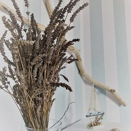 Haus-am-see-pratzschwitz * Πίρνα