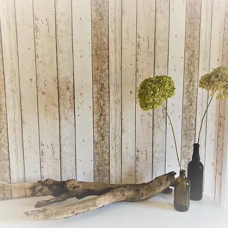 Ferienhaus Haus-am-see-pratzschwitz *