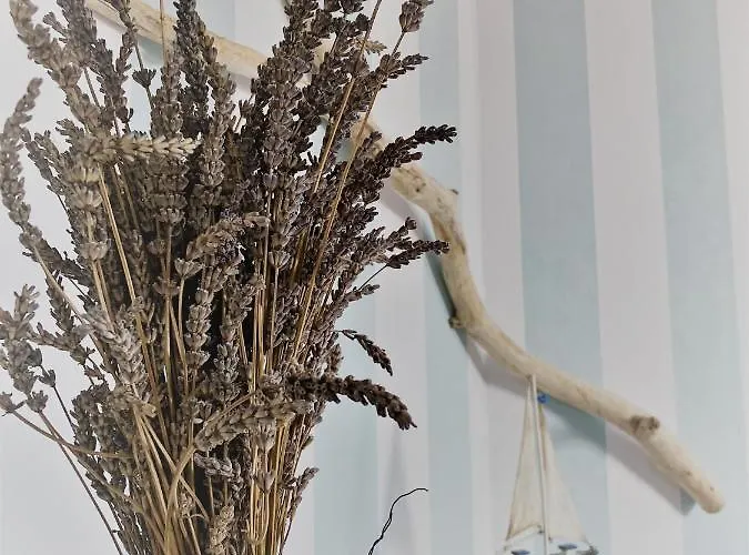 Haus-am-see-pratzschwitz * Pirna